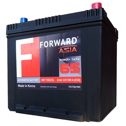 FORWARD-ASIA-MF-6ST
