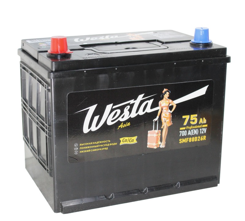 WESTA ASIA 6СТ